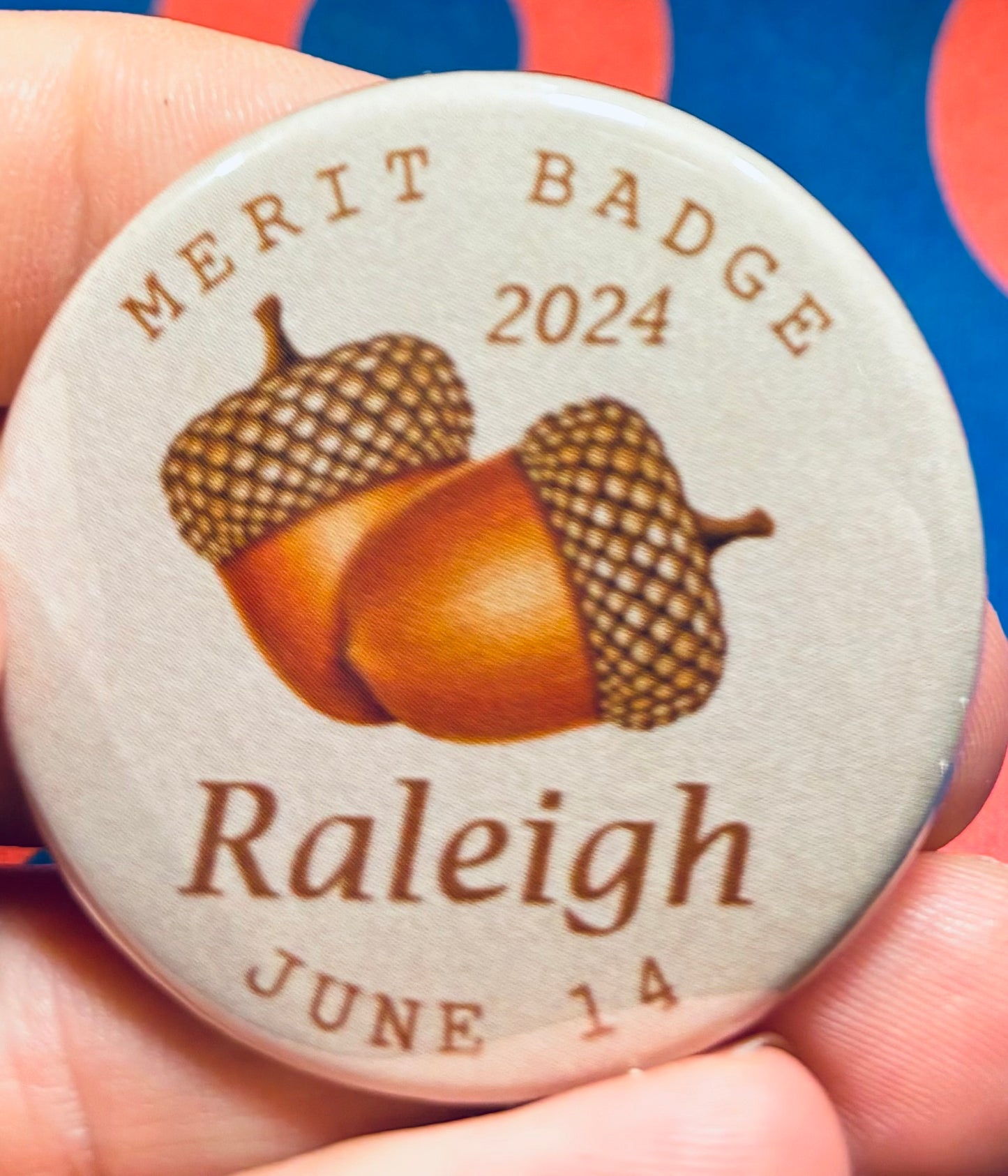 Raleigh Merit Badge 2024